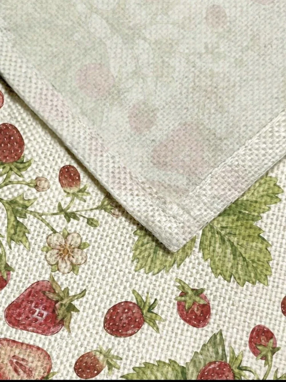 Strawberry 🍓 5 Pc Set: 4 Placemats/ 1 Table Runner NEW